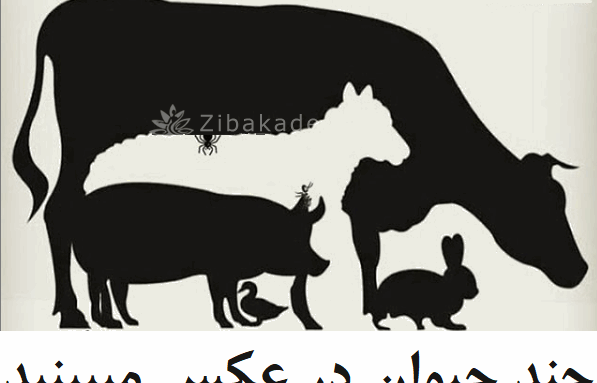 در عکس فیل چند حیوان میبینید