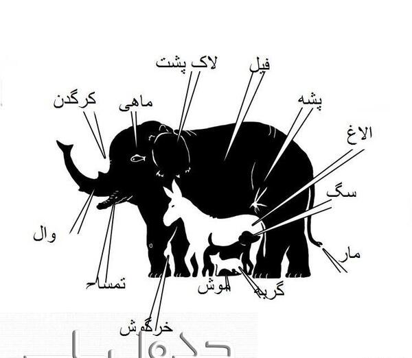 در عکس فیل چند حیوان میبینید