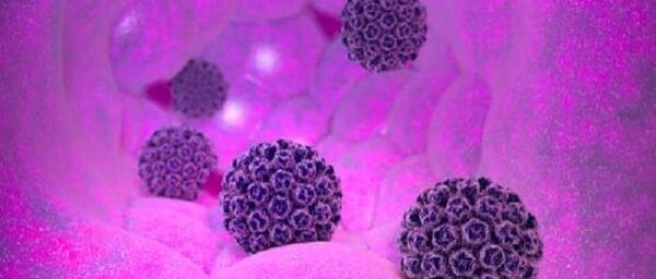 عکس ویروس hpv در مردان