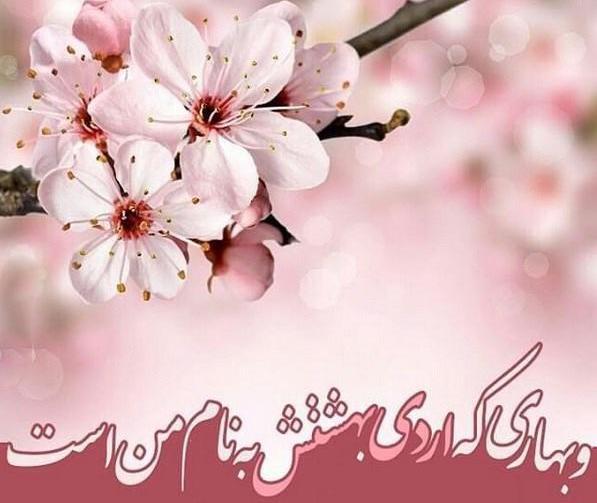 عکس تولد دختر اردیبهشت