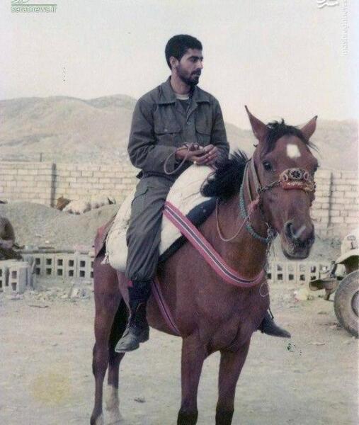 عکس ریه اسب