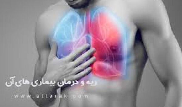 عکس ریه اسب