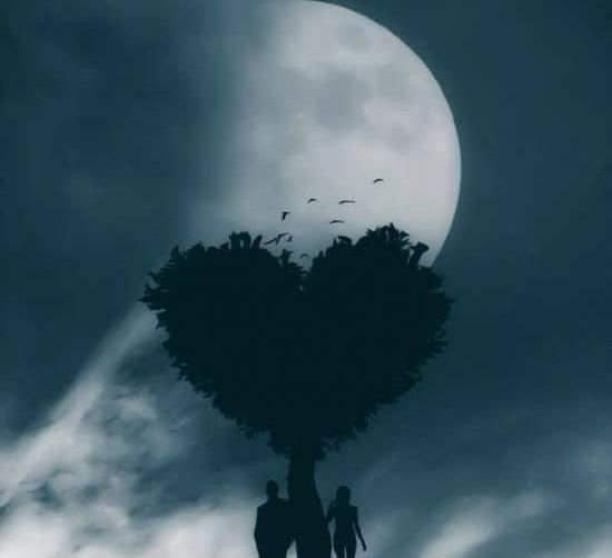 عکس پروفایل عاشقانه ساده