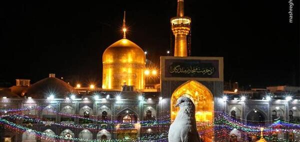 عکس شب زیارتی امام رضا