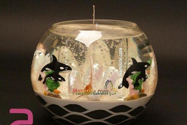 عکس حباب ژله ای