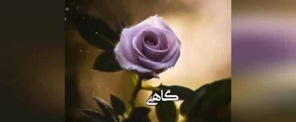 عکس وضعیت واتساپ مذهبی خدا