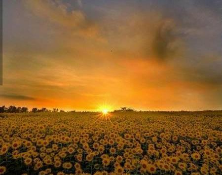 عکس های زیبا صبح