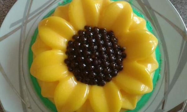 عکس ژله آفتابگردون
