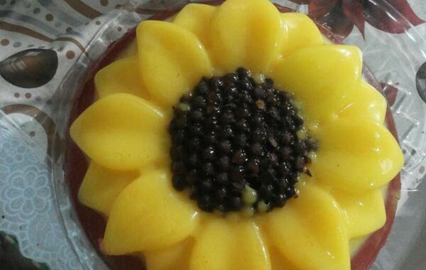 عکس ژله آفتابگردون