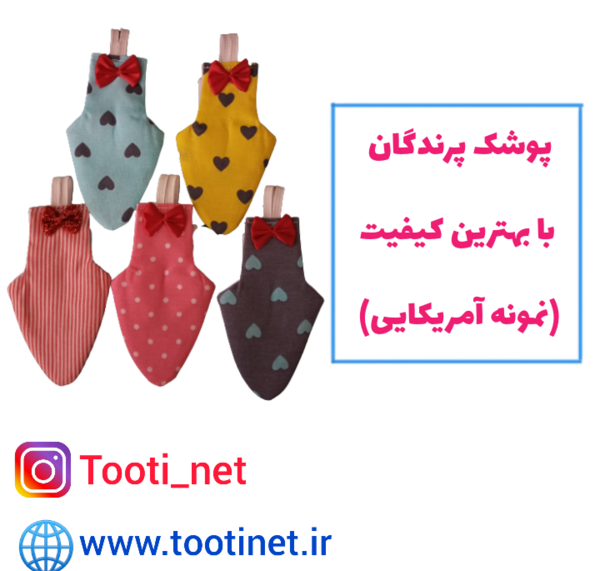 عکس لباس طوطی