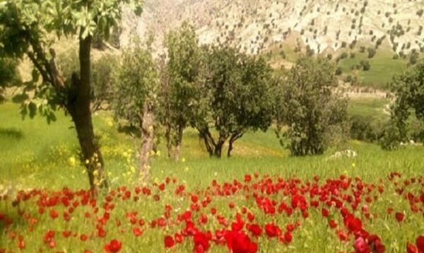 عکس زیبای طبیعت بهار