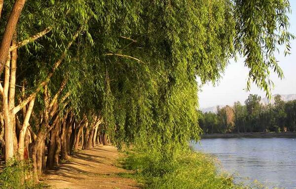 عکس زیبا از طبیعت اصفهان