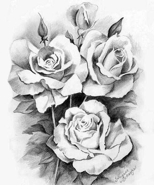 عکس تصاویر گلهای زیبا نقاشی