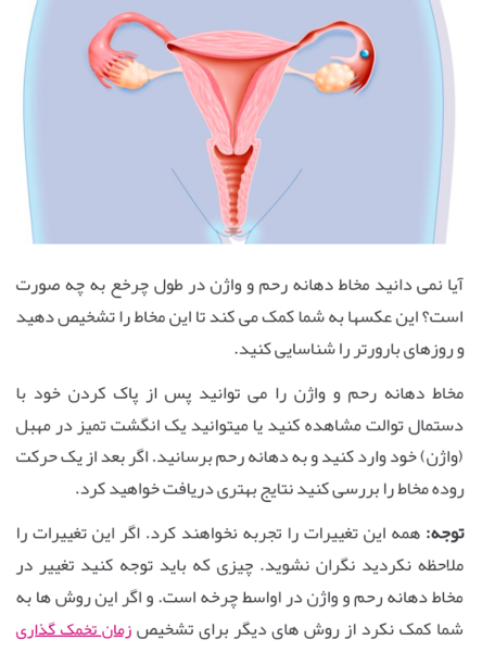 عکس ترشحات بارداری نی نی سایت