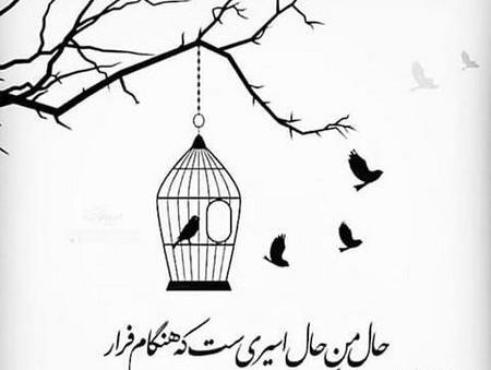 غمگین عکس دختر خسته از زندگی