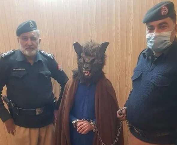 عکس گرگ نما در ایران