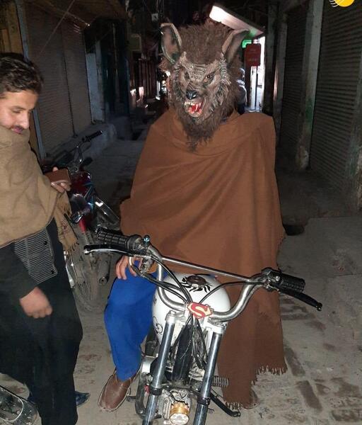 عکس گرگ نما در ایران