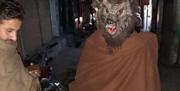 عکس گرگ نما در ایران