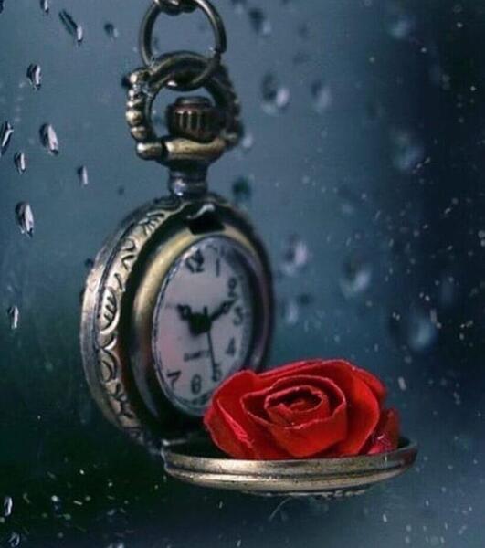 عکس ساعت و گل برای پروفایل