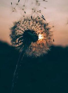 عکس ساعت و گل برای پروفایل