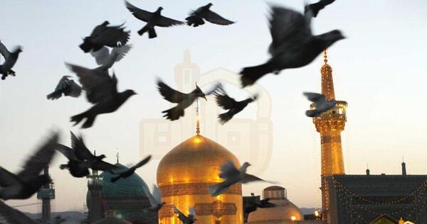 عکس ضریح امام رضا مشهد