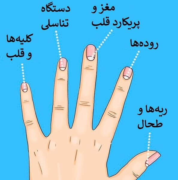 عکس ناخن سالم