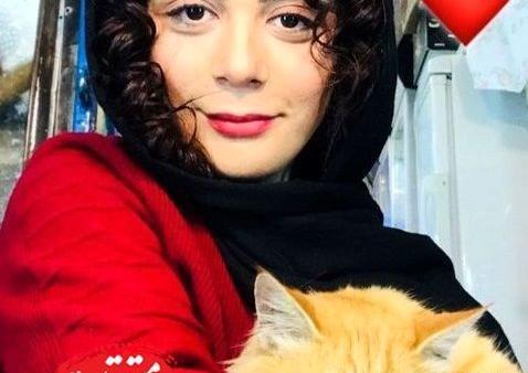 عکس گربه طلایی