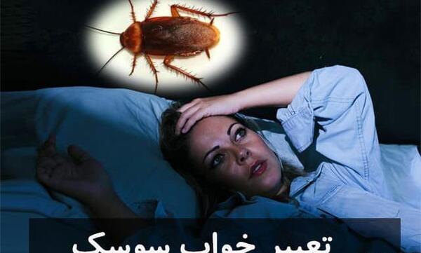 عکس سوسک بالدار