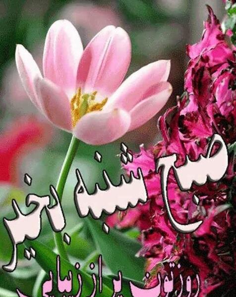 عکس ذکر روز شنبه با شعر
