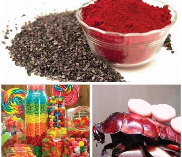 عکس سوسک چندش آور