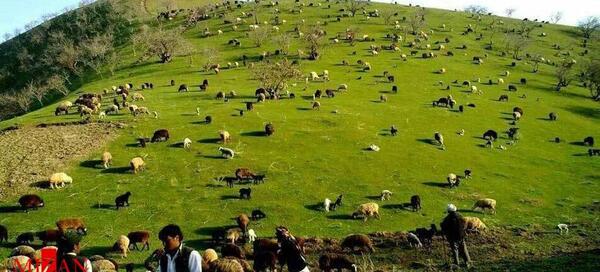 عکسهای زیبا از طبیعت افغانستان