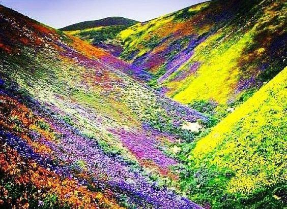 عکسهای زیبا از طبیعت افغانستان