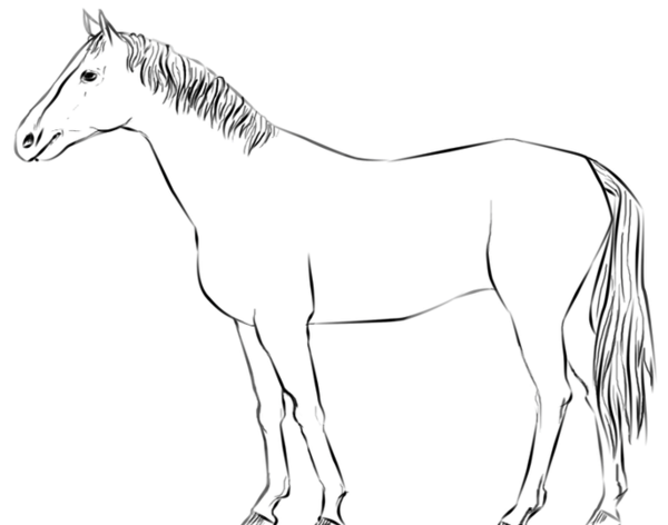 عکس نقاشی اسب