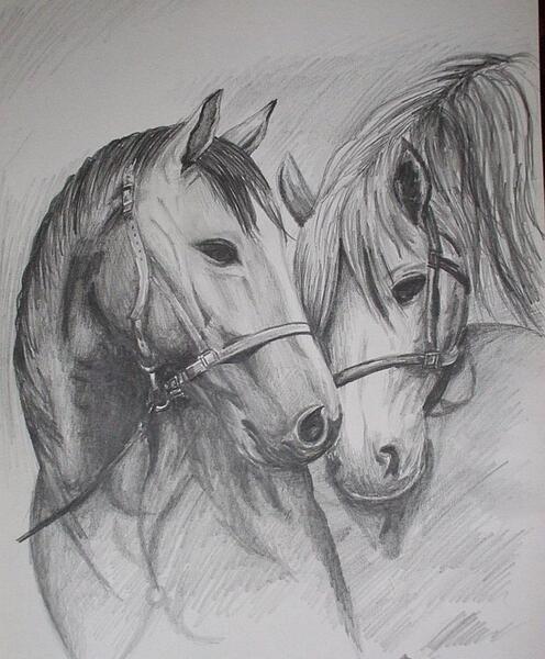 عکس نقاشی اسب