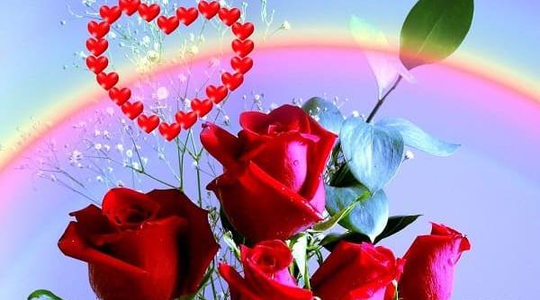 عکس بهار فصل عاشقی