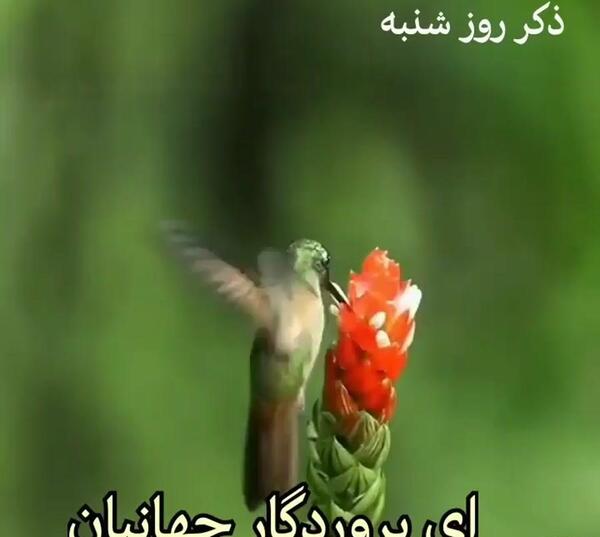 عکس استوری ذکر روز شنبه