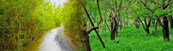 عکس جاهای دیدنی تربت حیدریه