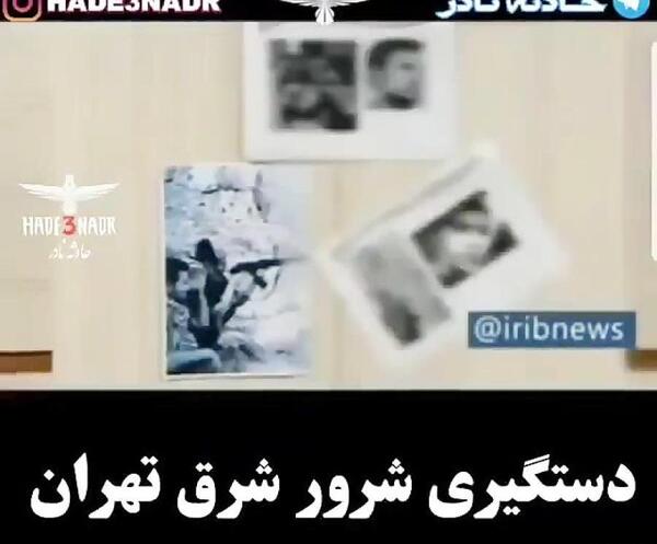 عکس قوقول