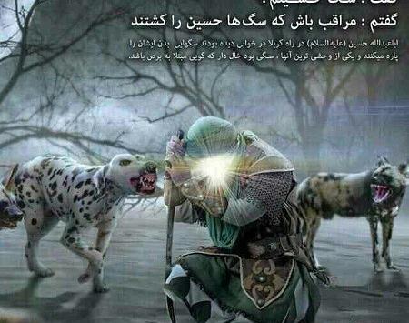 عکس سگ حسین