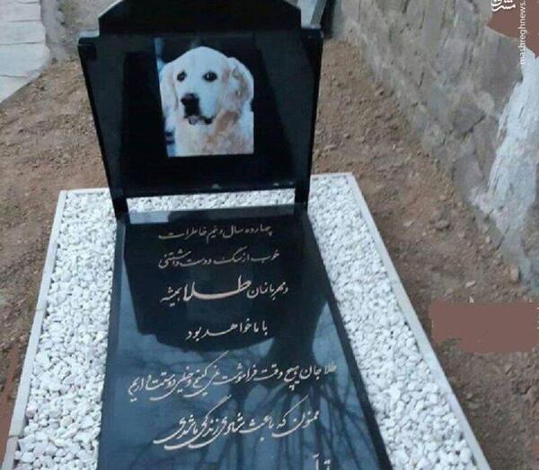 عکس سگ حسین