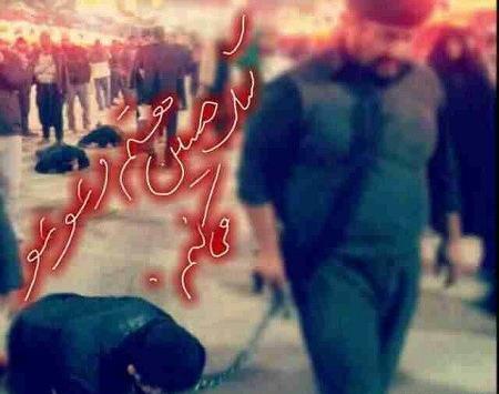 عکس سگ حسین