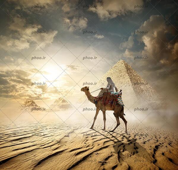عکس شتر سوار