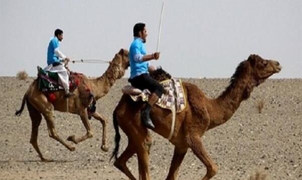 عکس شتر سوار