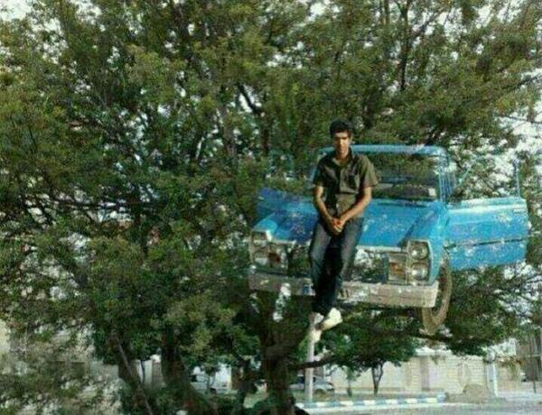 بهترین عکس خنده دار جهان