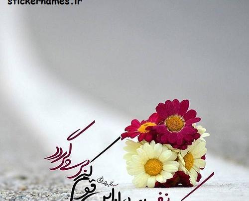 عکس زیبای ظهور