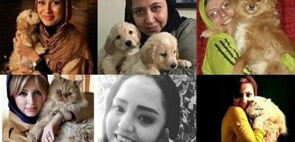 عکس سگ فروشی