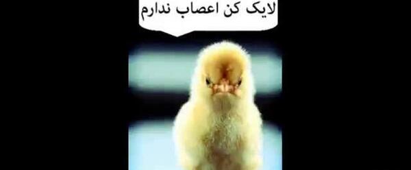 عکس لایک کن