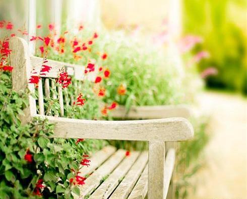 عکس دلتنگی طبیعت