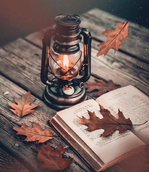 عکس دلتنگی طبیعت