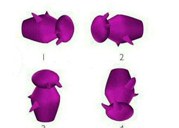 عکس شتر آلزایمر